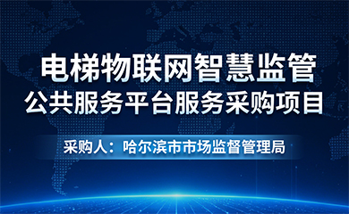 电梯物联网智慧监管公共服务平台服务采购项目